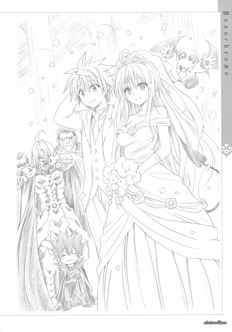 Фотография 510